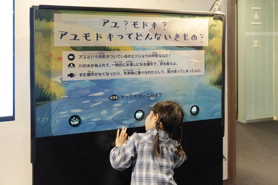 アユモドキを覗くことができる水槽