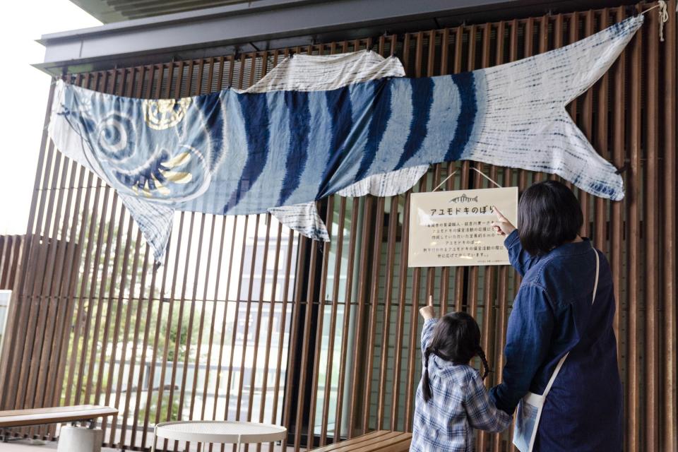 「アユモドキのぼり」も展示
