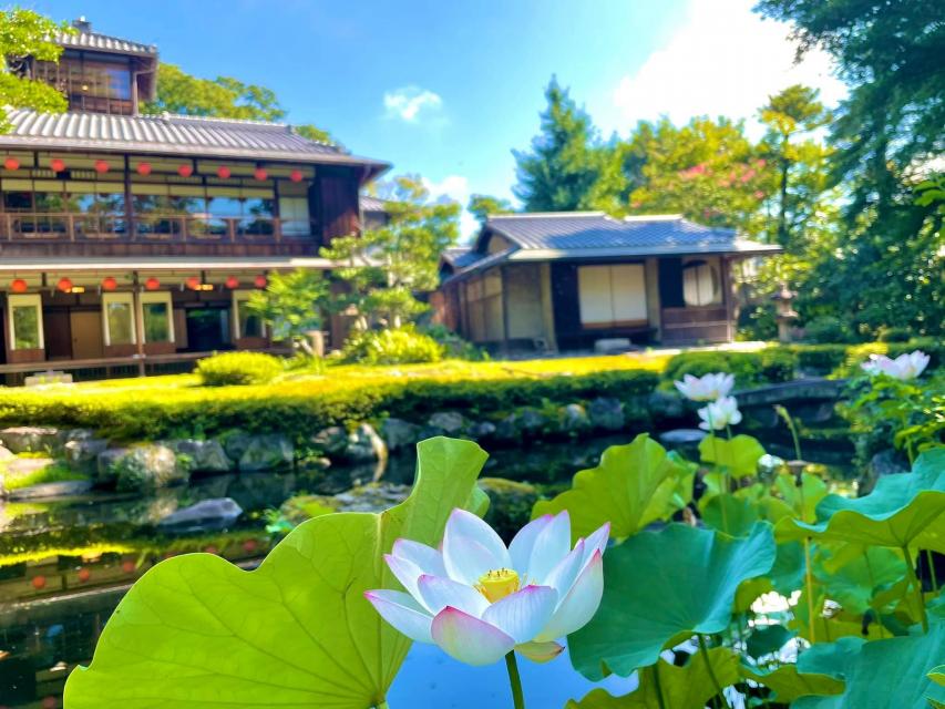 7月は庭園内の蓮が見ごろとなります！