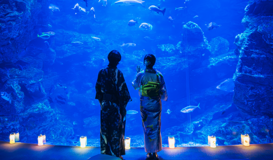 ランタンで幻想的な雰囲気の「京の海」大水槽