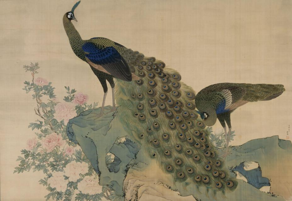 重要文化財 牡丹孔雀図 円山応挙筆 一幅 絹本著色 江戸時代 相国寺蔵(Ⅰ期前半 2026年10月17日~12月4日)