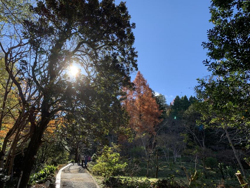 樹木園