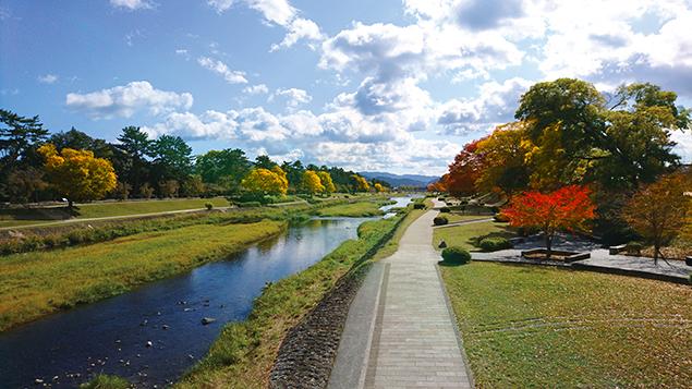 秋の賀茂川