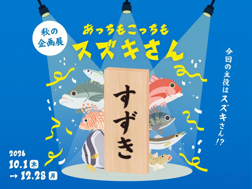 「あっちもこっちもスズキさん」キービジュアル