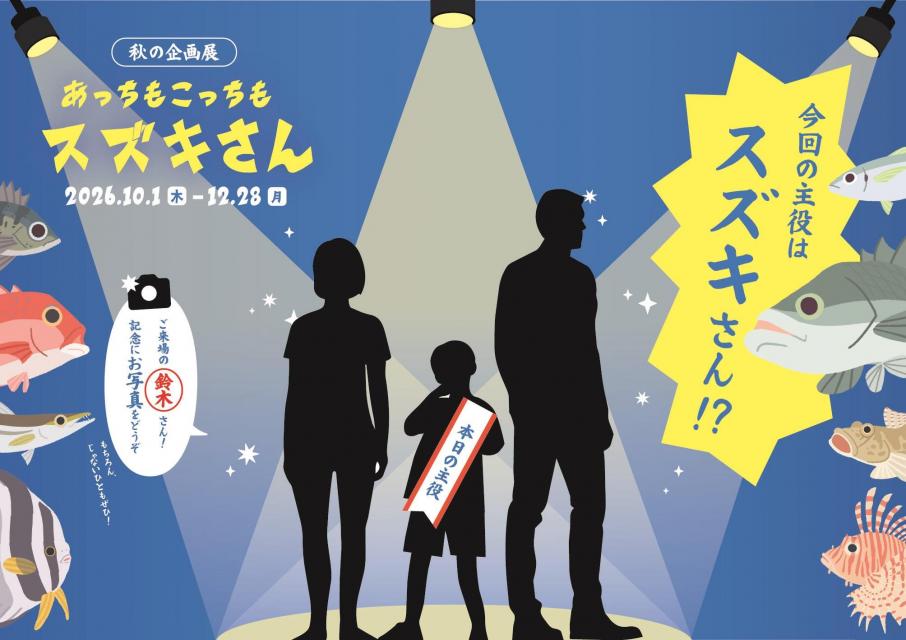 フォトスポット （イメージ）