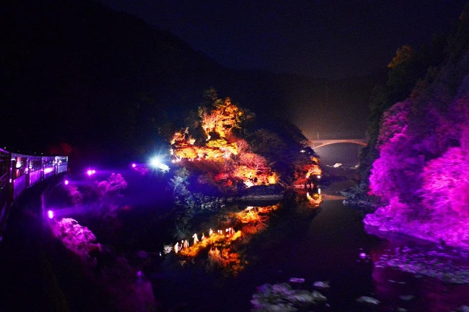 嵯峨野トロッコ列車秋のライトアップ 光の幻想列車 京都市公式 京都観光navi