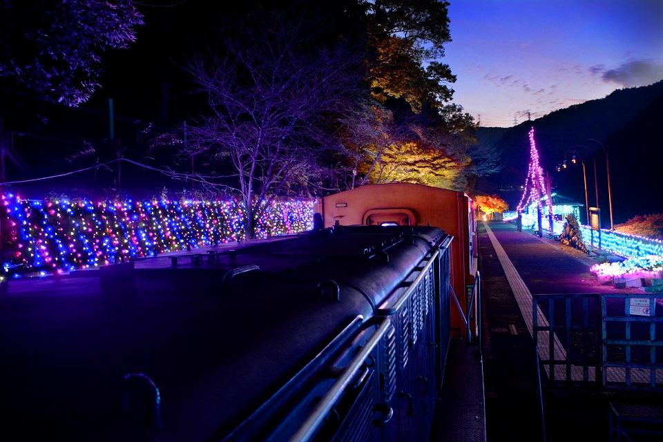 嵯峨野トロッコ列車秋のライトアップ 光の幻想列車 京都市公式 京都観光navi