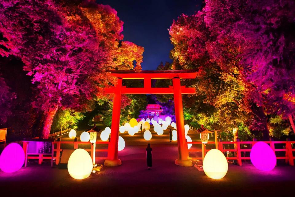 下鴨神社 糺の森の光の祭art By Teamlab Tokioインカラミ 京都市公式 京都観光navi