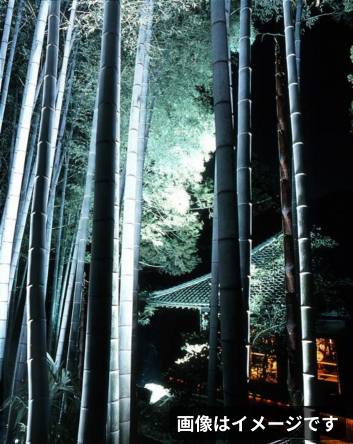 画像はイメージです