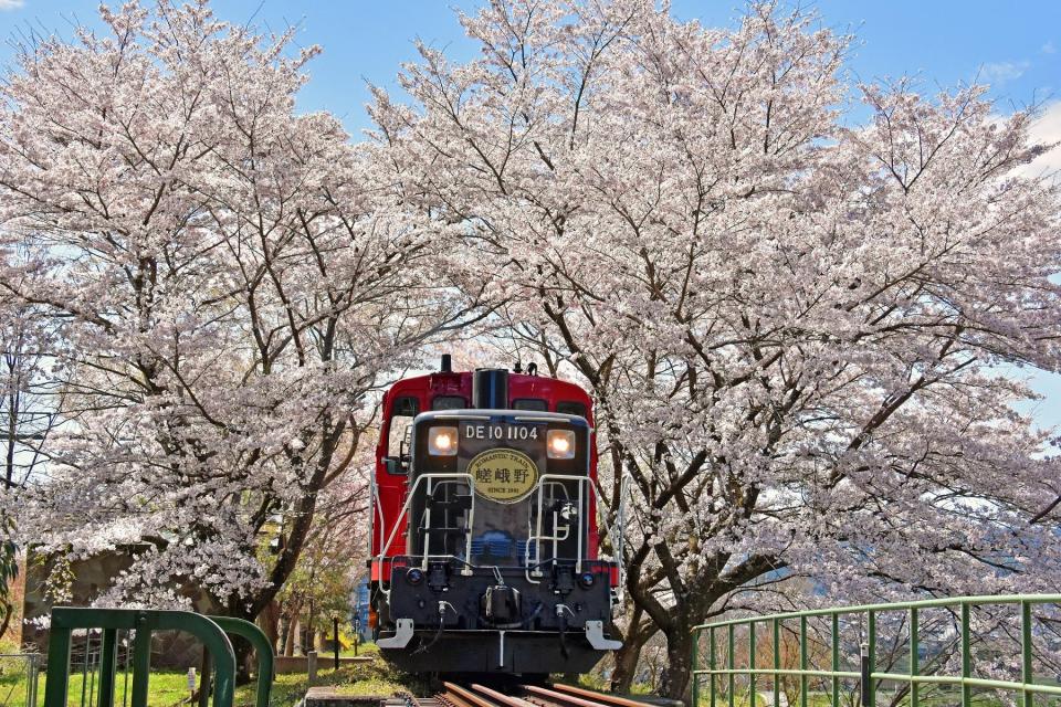 嵯峨野トロッコ列車運転開始 京都市公式 京都観光navi
