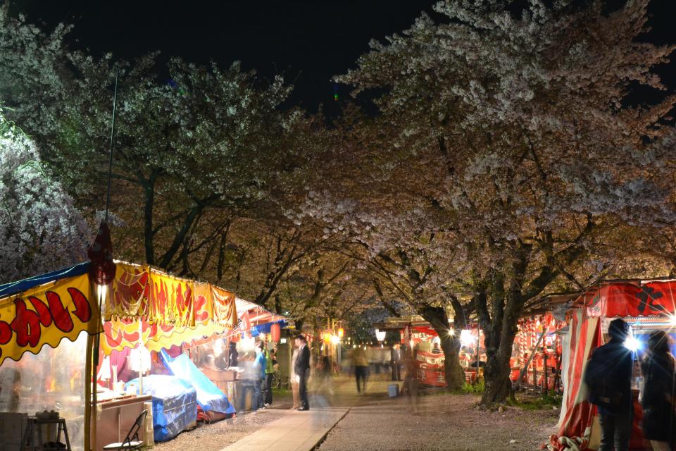 桜ライトアップ 平野神社 京都市公式 京都観光navi