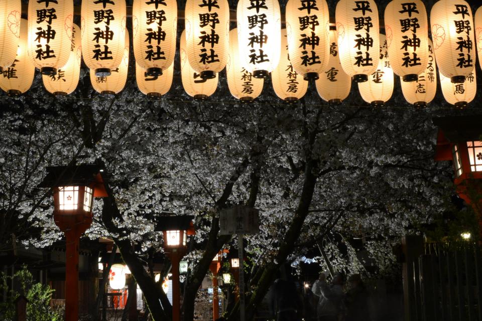 桜ライトアップ 平野神社 京都市公式 京都観光navi