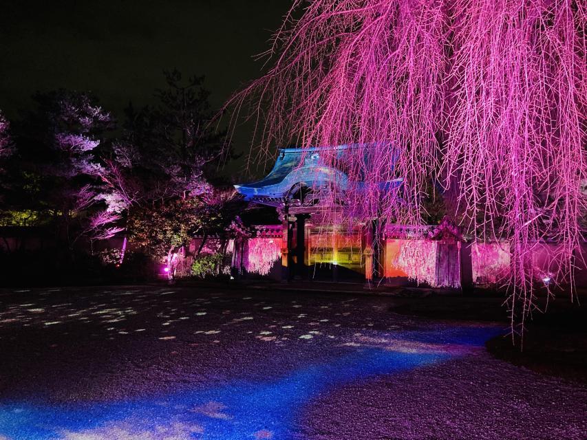 方丈のプロジェクションマッピング(イメージ)