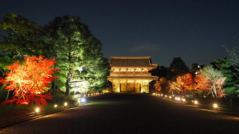 仁和寺もみじライトアップ 紅葉残照 京都市公式 京都観光navi