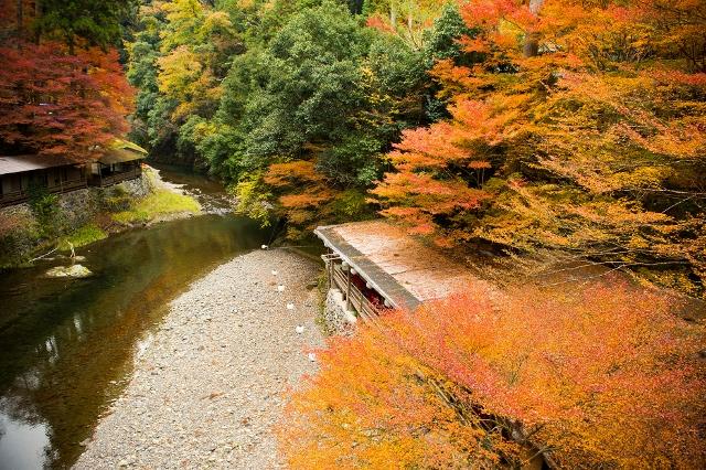 ©︎京都市メディア支援センター