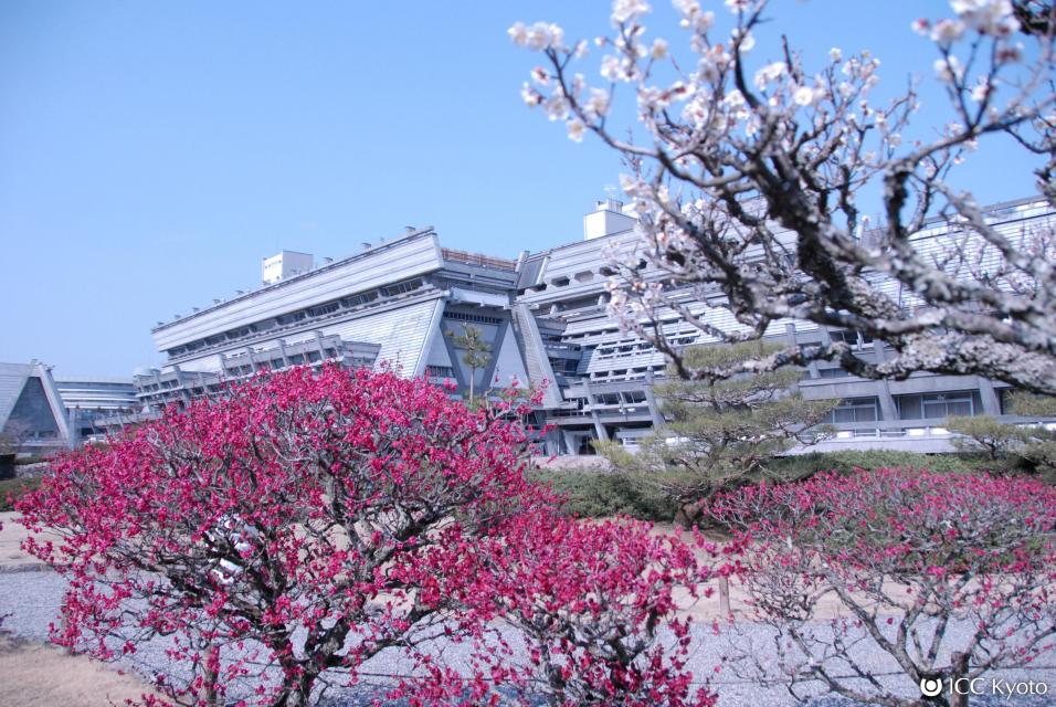 記念植樹の募集 京都国際会館 京都市公式 京都観光navi