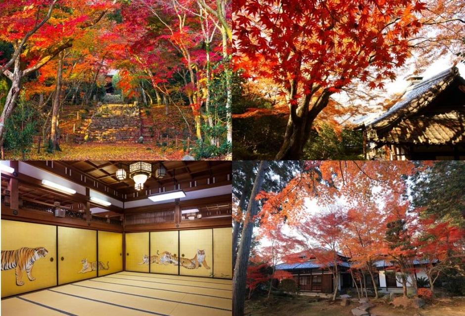 京都 特別な秋　門前近くまで楽々貸切タクシープラン