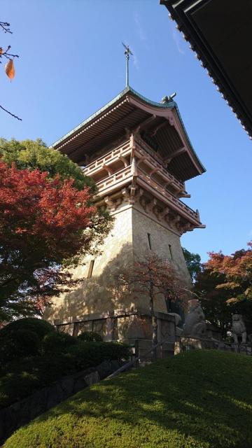 ガイドと歩く～秋の京都一望の絶景と風さわぐ真葛が原～