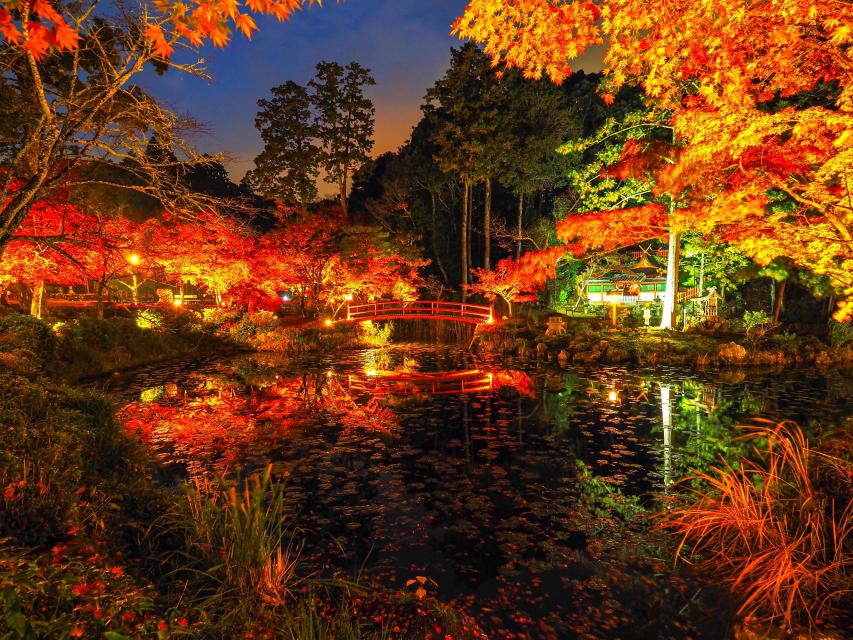 令和４年 大原野神社 紅葉ライトアップ 京都市公式 京都観光navi