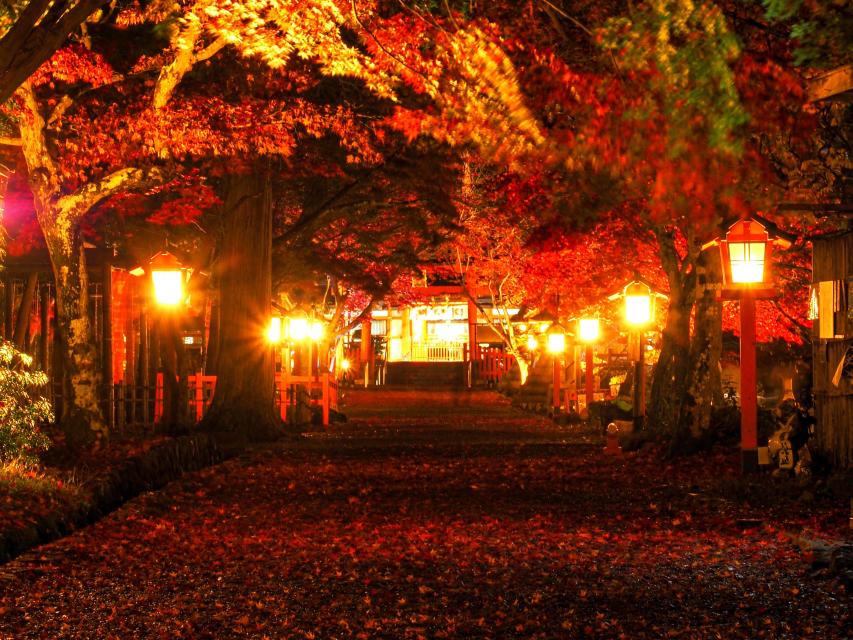 令和４年 大原野神社 紅葉ライトアップ 京都市公式 京都観光navi