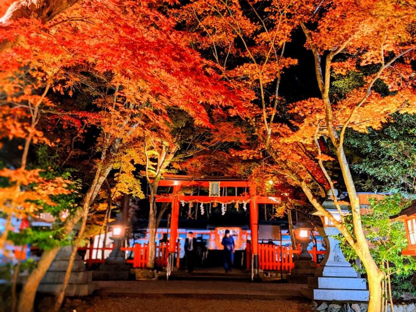 令和４年 大原野神社 紅葉ライトアップ 京都市公式 京都観光navi