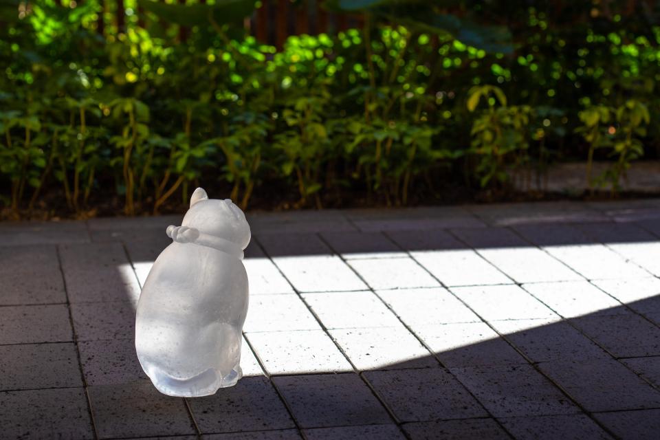 《くぼみに眠る海 -猫-》2023 年 ガラス､空気（東山窯の石膏型を使用）15×12×21cm　©️MIYANAGA Aiko, Courtesy of Mizuma Art Gallery