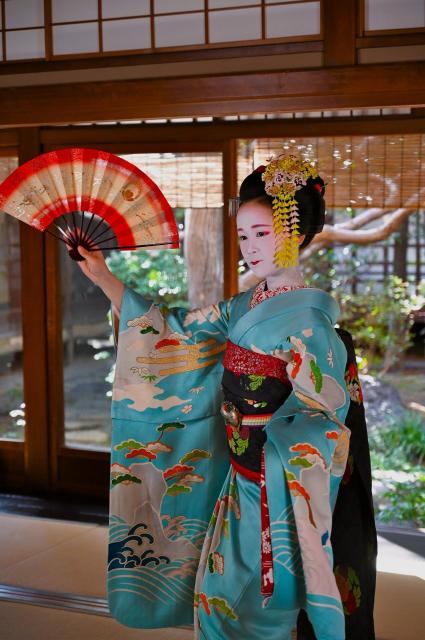 舞を愉しむ会】「浴衣姿の舞妓さんの舞を愉しむ会」叶朋さん・菊しづさん｜【京都市公式】京都観光Navi