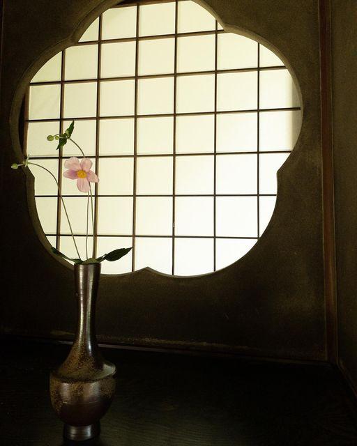 茶室の梅鉢窓と秋明菊。