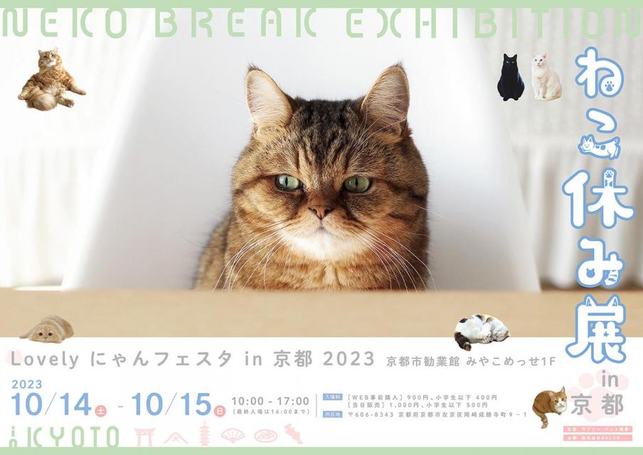 ねこ休み展 in 京都｜【京都市公式】京都観光Navi