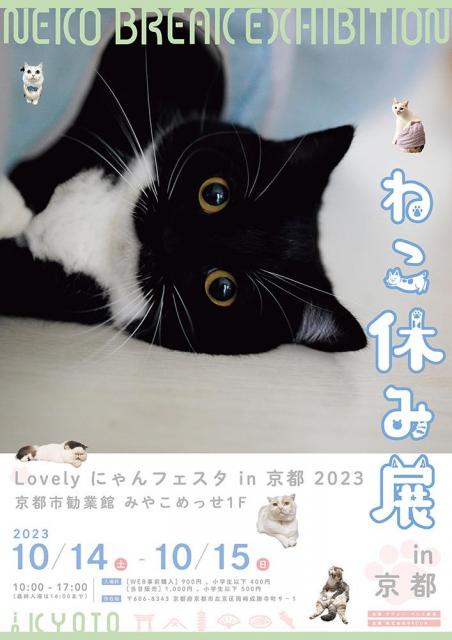 ねこ休み展 in 京都｜【京都市公式】京都観光Navi