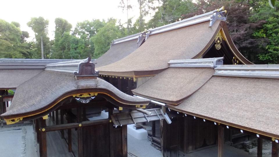 美しい京都を未来につなぐ旅 -銘木師と紐解く上賀茂神社の木の秘密-