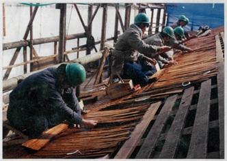 紫宸殿屋根葺替工事の変遷パネル展示