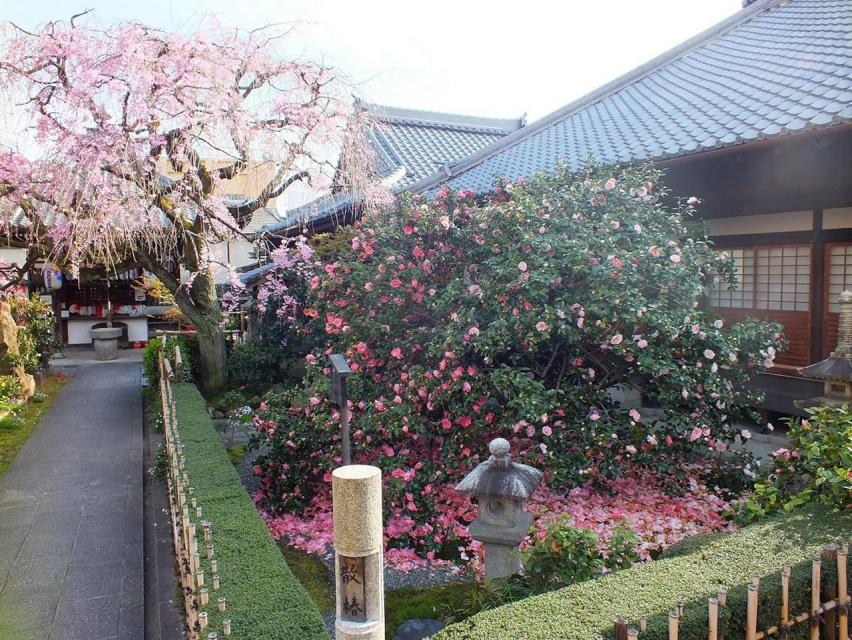 地蔵院（椿寺）