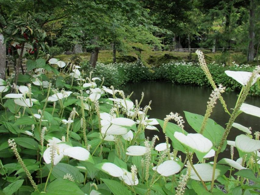 等持院