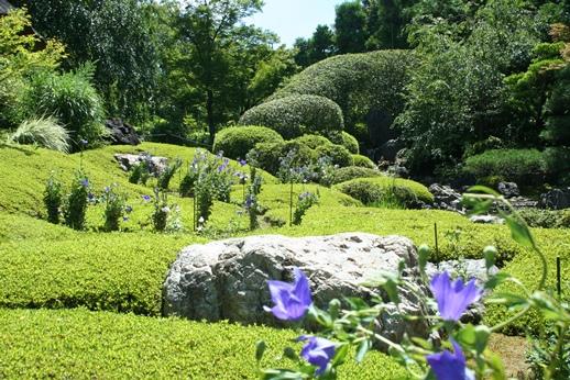 妙心寺退蔵院