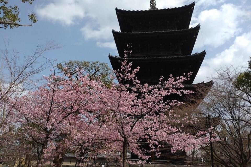 東寺