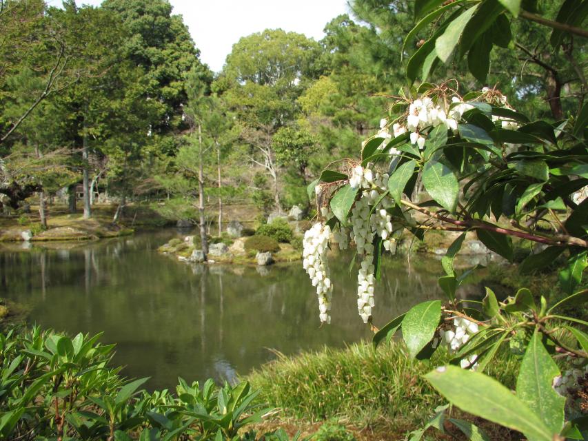 等持院