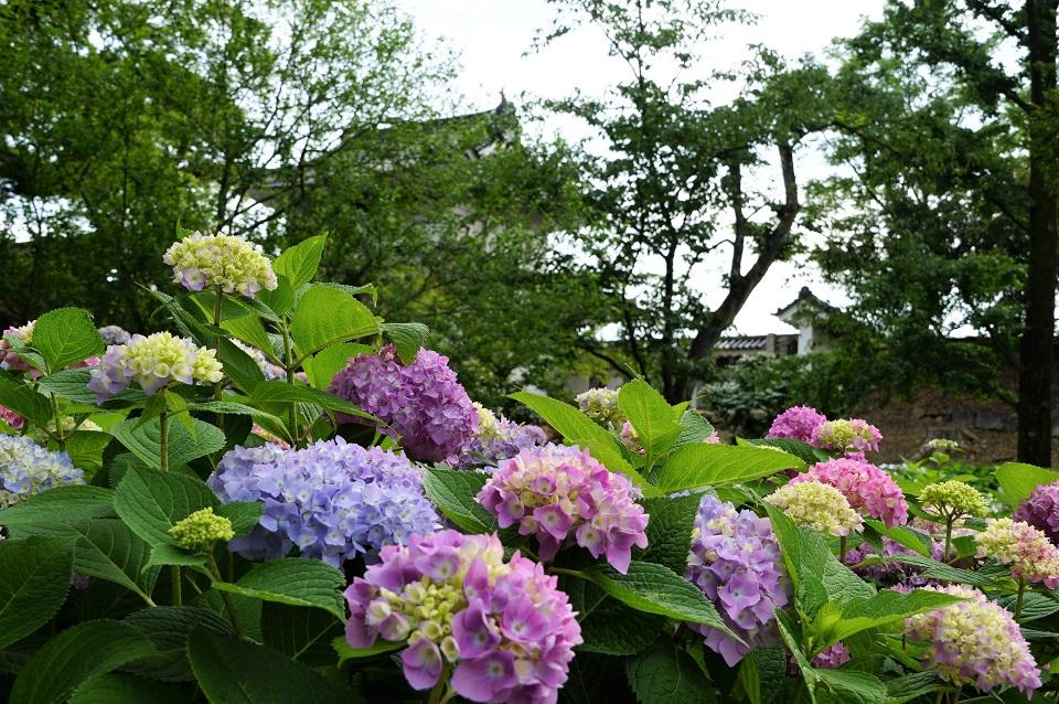 二条城