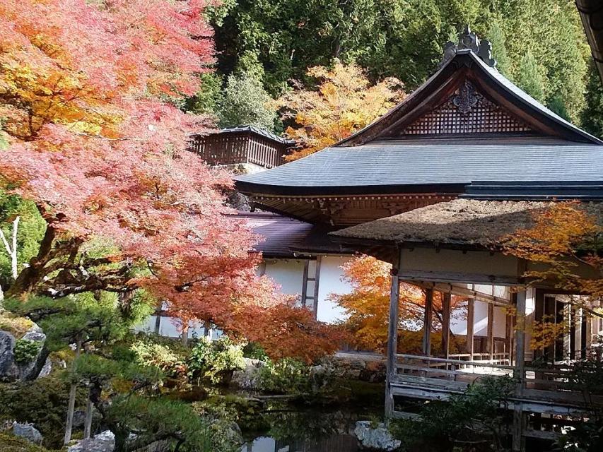 常照皇寺