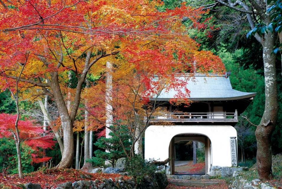 古知谷阿弥陀寺