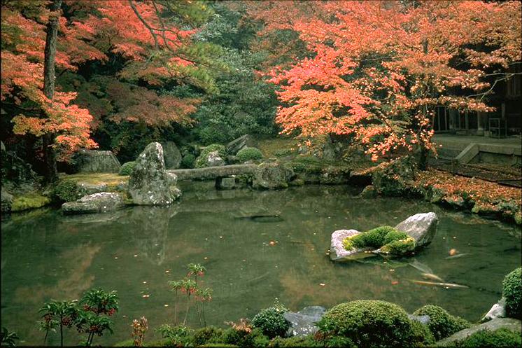 蓮華寺