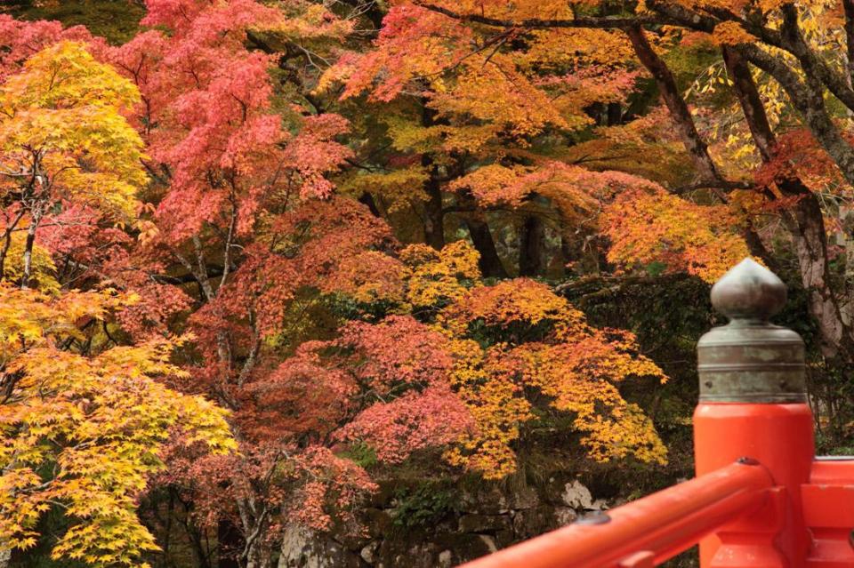 鞍馬寺