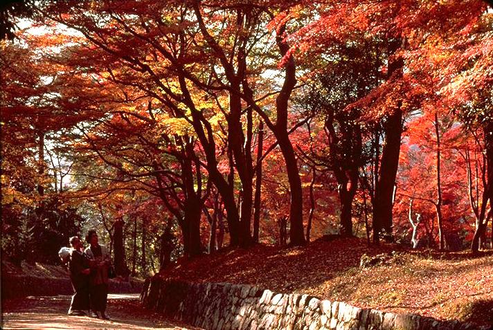 赤山禅院