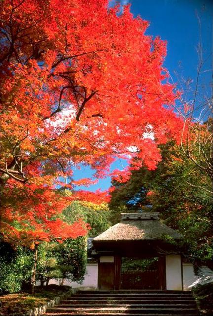 安楽寺