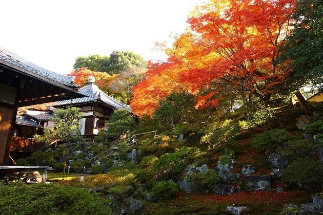 霊鑑寺