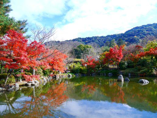 円山公園