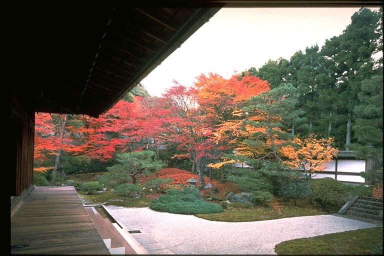 泉涌寺