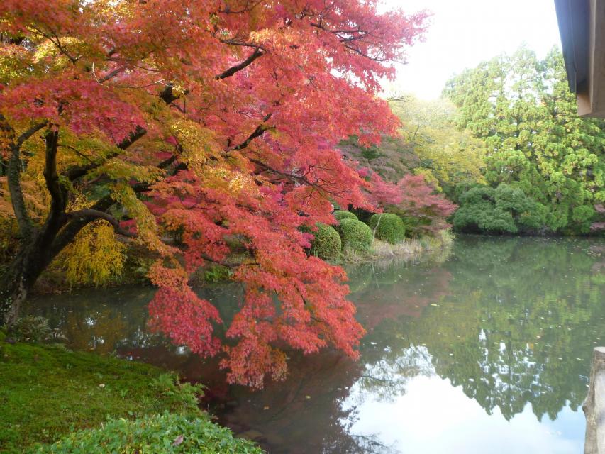 府立植物園