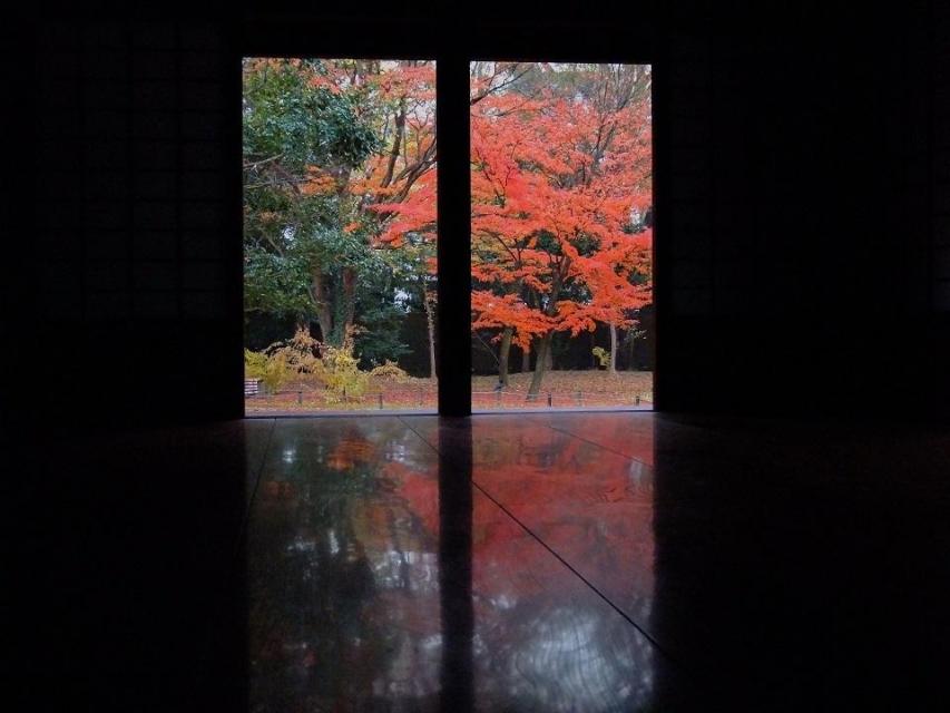 閑院宮邸跡収納展示館の床もみじ