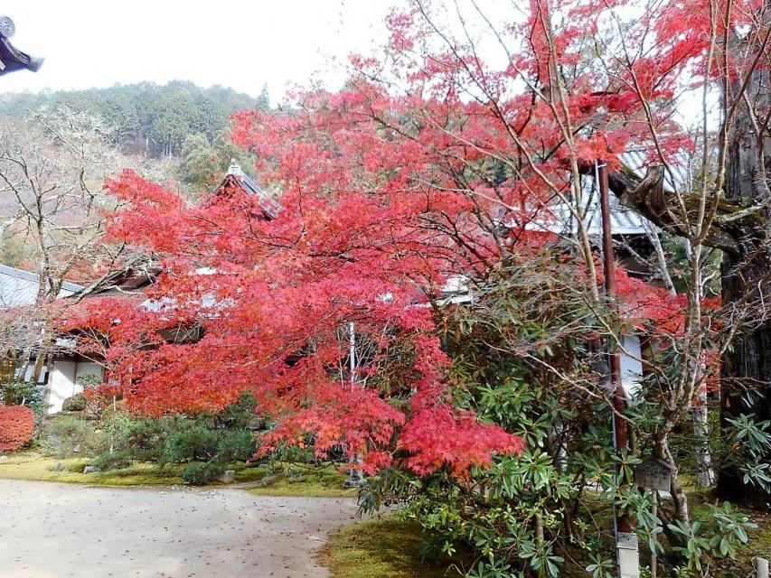 西明寺